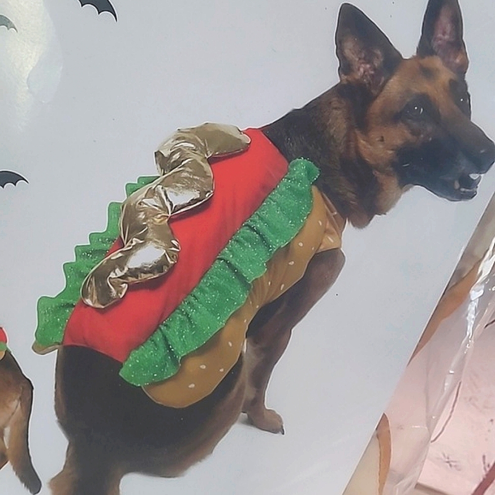 🆕️NWT Vibrantlife Large Dog Hotdog Halloween Costume